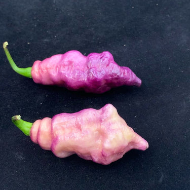 Pink Tiger - Seeds - The Pepper Pantry (Formerly Marie Sharp's)